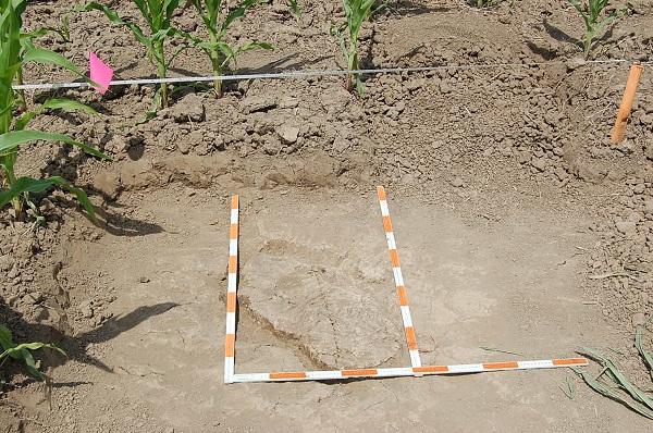 The Fuss About Archaeology Conducted On Ontario Farmlands