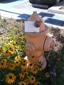 All photos except for Iliad courtesy of the author. Iliad photo: J. Barker 