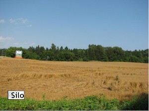 We would have liked a higher vantage point. We saw geometric patterns in the crops. These patters were not visible the day before. This field was cut within 24 hours of this photo being taken. image: Mith Media/The Silo all rights reserved 