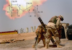 What does a sugar molecule and US special op forces in Afghanistan have to do with this post? Read on.....