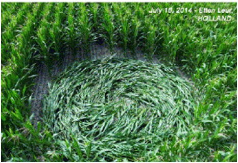 Crop Circle Formations Predicted And Found In Etten Holland
