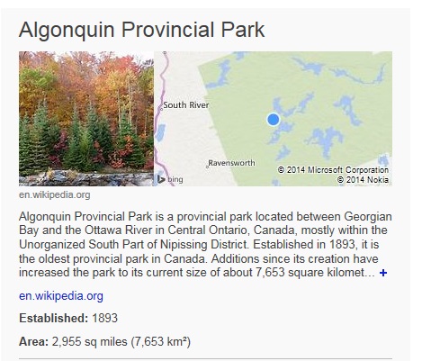 Queen's Park - Green Party of Ontario leader Mike Schreiner is calling for a ban on logging in Algonquin Park. image courtesy of Bing