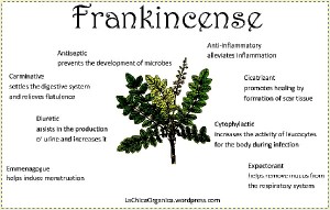 CLICK me to discover more about Frankincense