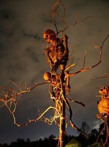 Skeleton Scarecrows