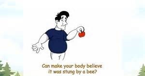 EFactor Foods Bee Sting Metaphor