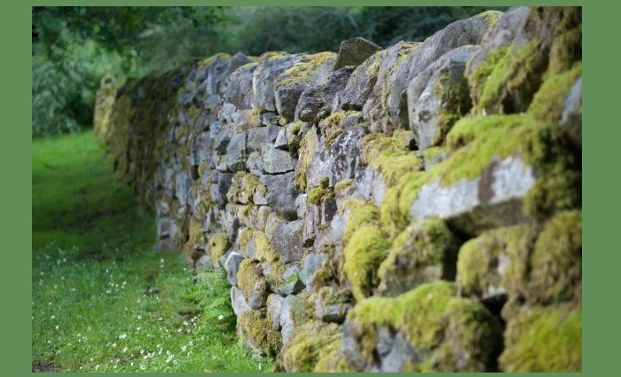 Scotland Poetry Book Stone Wall Metaphor