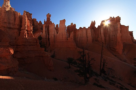 UtahNationalParkWeatheredSandstone