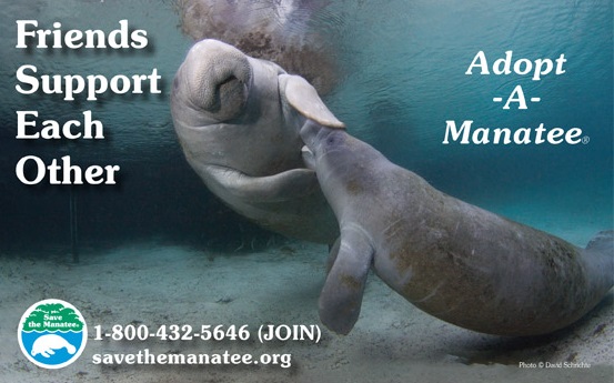 Adopt A Manatee Club May2016