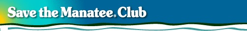 Save The Manatee Club Ribbon