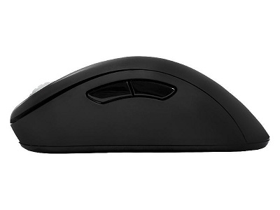 ZOWIE EC2-eVo Gaming Mouse