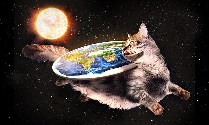 FlatEarth Cat