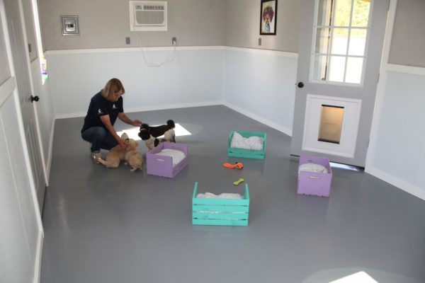 Tiny House interior Sharon Stone Operations Director Hope Animal Sanctuary