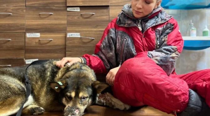 Providing Relief to Ukrainian Refugee’s and Their Pets