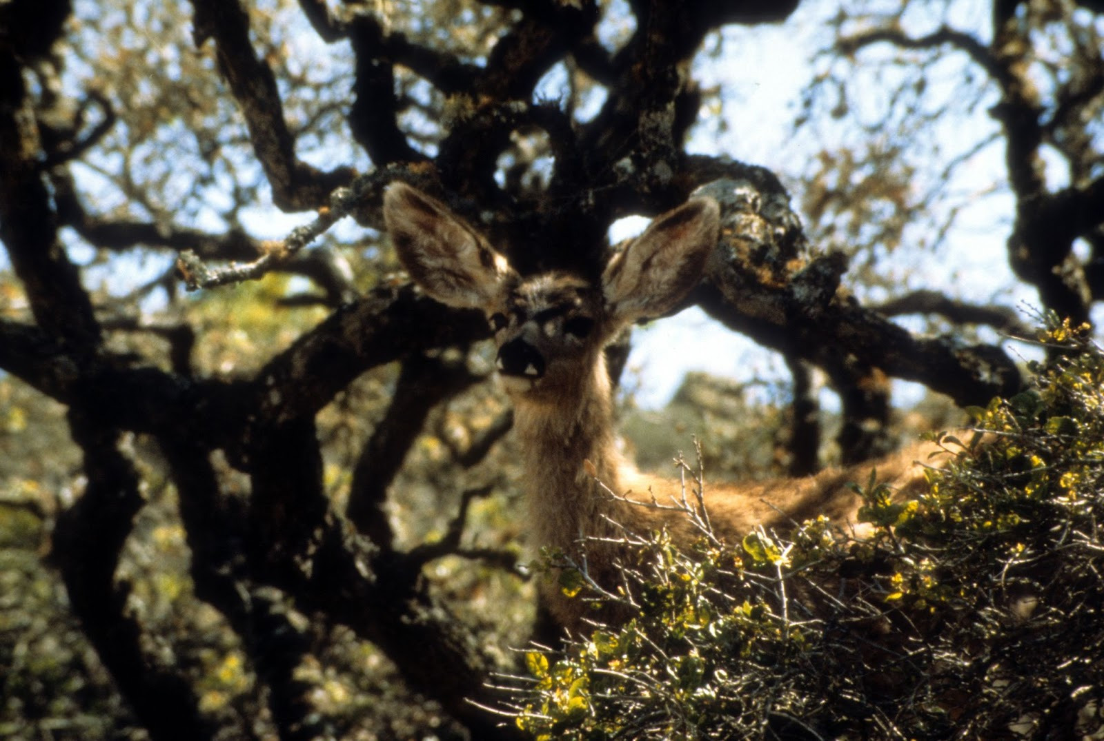 /Users/amgraef7/Library/Containers/com.microsoft.Word/Data/tmp/Content.MSO/2D523464.tmp